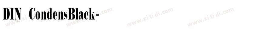DIN CondensBlack字体转换
